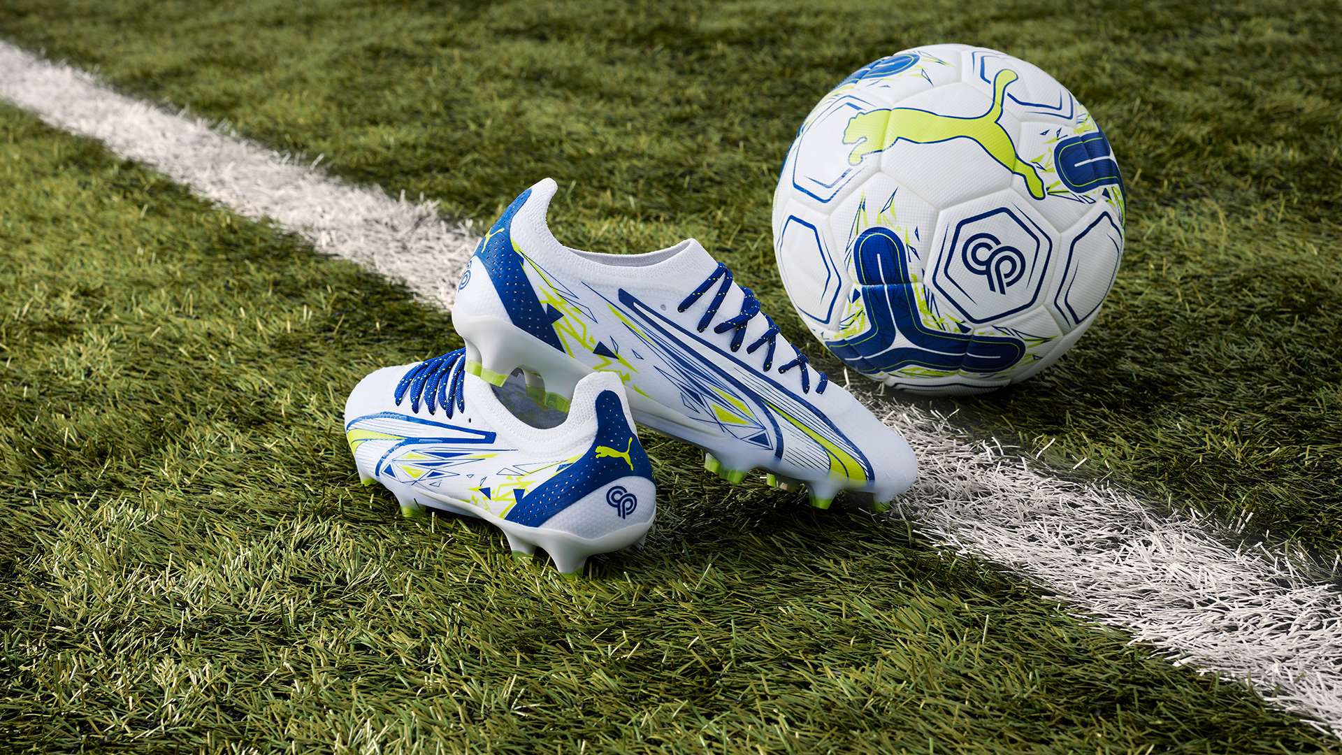 法规的一致 法规的一致